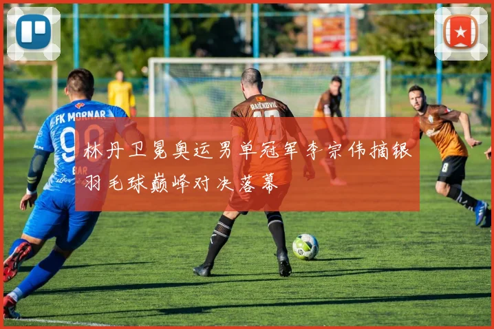 林丹卫冕奥运男单冠军李宗伟摘银羽毛球巅峰对决落幕