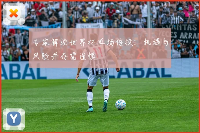 专家解读世界杯单场倍投:机遇与风险并存需谨慎