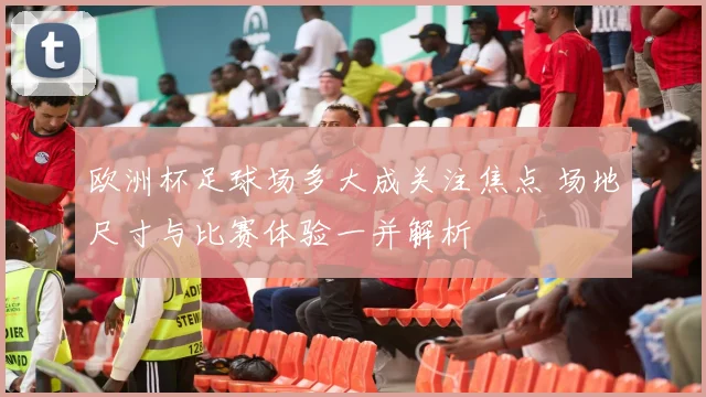 欧洲杯足球场多大成关注焦点 场地尺寸与比赛体验一并解析